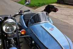 Dog in Watsonian Sidecar